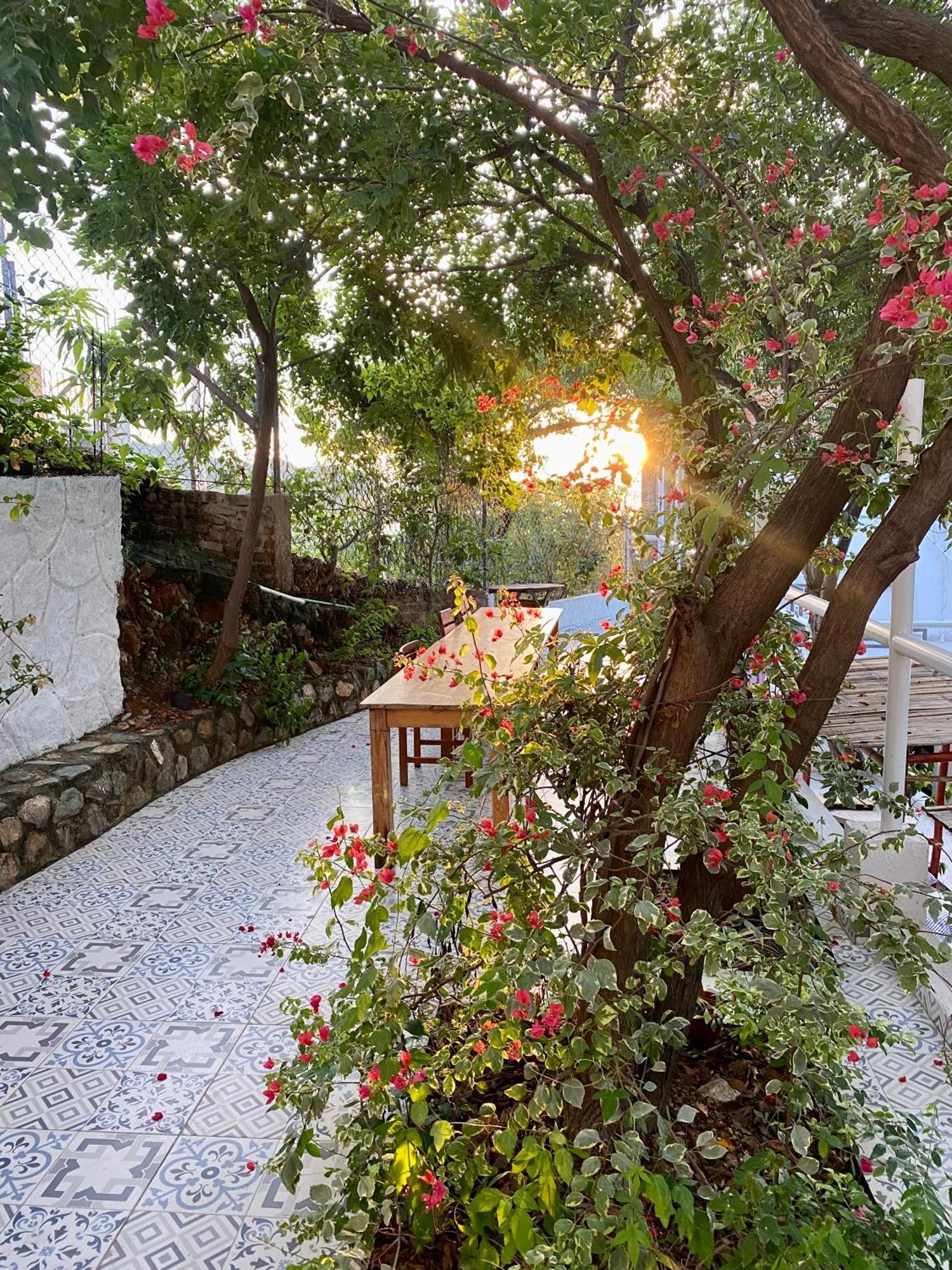 Vito Hotel Boutique Taganga Exterior photo